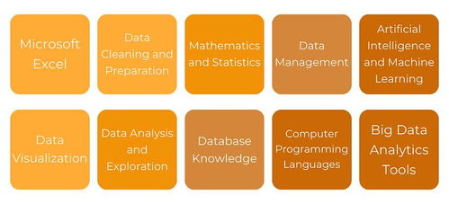 解鎖數(shù)據(jù)價(jià)值 掌握數(shù)據(jù)處理技術(shù)，夯實(shí)有效數(shù)據(jù)分析的基石